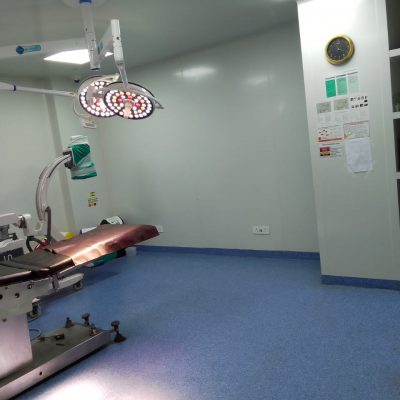 WhatsApp Image 2024-02-11 at 19.57.05 (1)